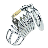 Chastity Cage